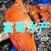 富哥水产（全是野货）头像