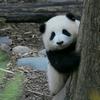 炆学头像