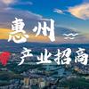 HZ惠湾产业发展头像