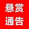 法信悬赏（中卫）小宋头像