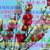 @问心无愧天地宽!头像