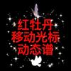 昵称:红牡丹头像