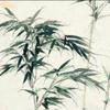老木易头像
