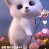 陈晚头像