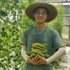 鱼菜高头像
