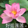 福运莲香头像
