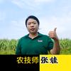农技师张娃（郑州三禾肥业）头像