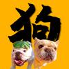 二狗司令头像