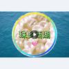 珠乡西湖头像