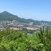 向老兵学头像