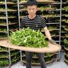武夷山南舍民墅~妙泉茶叶头像