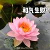 邱光珍头像