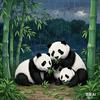 李勇齐头像