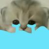 小猫咪头像