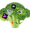 🌪broccoli☻头像