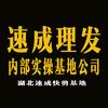 湖北省速成美发公司头像