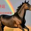 饼干桩头像