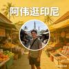 阿伟逛印尼头像