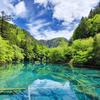 追光逐影头像