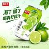 朋友多青柠檬汁头像