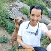聪哥养猪头像