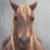 马上淋雨（蛋炒饭里悟真我）头像