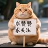 喵喵戏精学院头像