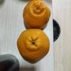 优品放心购头像