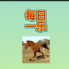 每日一乐头像