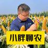 小胖聊农头像