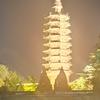 009头像