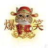 爆笑猫meme头像
