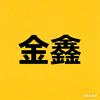 金鑫影视头像