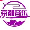 荣都音乐头像