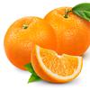 橘子🍊剧吧头像
