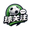 球关注头像