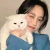 明星影视💗💗头像