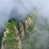 浦江山水画头像