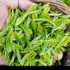 好物山农茶哥头像