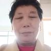 张性菊头像