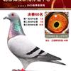 刚刚来了头像