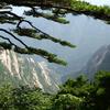 山林头像
