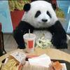 柳州专业钻孔小周头像