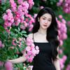 梅花香头像