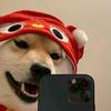 橙汁兄弟头像