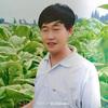 随缘头像