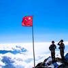 军中绿花头像