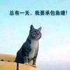 紫色石头像