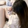 棉花糖头像