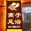 燕子姐姐头像